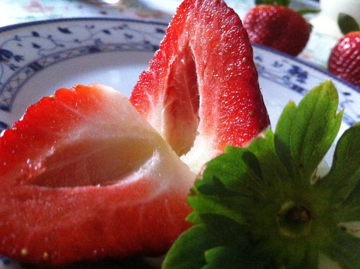Heraclea Hotel Policoro